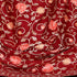 Women's Aari Embroidered Wool Shawl